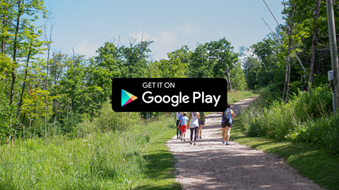 Google Ap Store