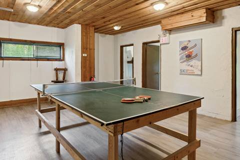 Birch View Trail Ping Pong Table