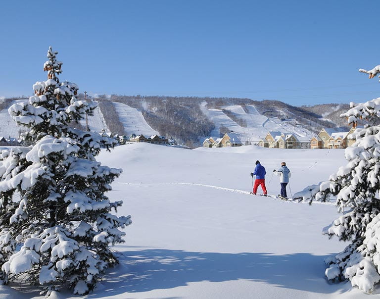 Snowshoe