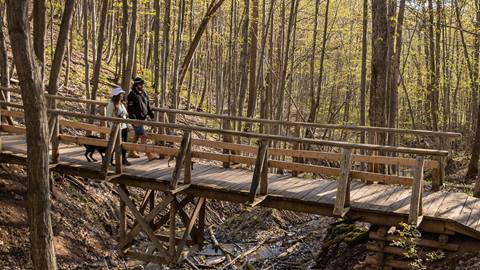 9 Activities to Embrace Early Winter Fun at Blue