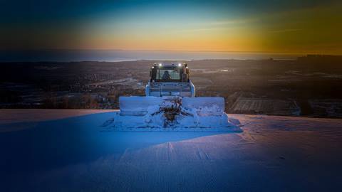 a groomer at dawn