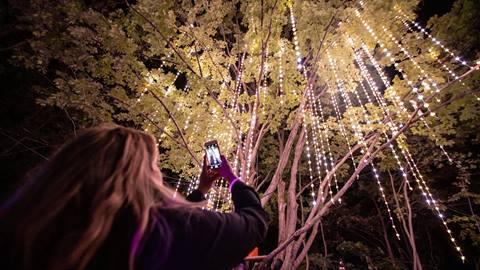 Agora Path of Light
