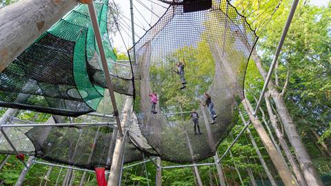 People playing on Canopy Climb Net Adventure