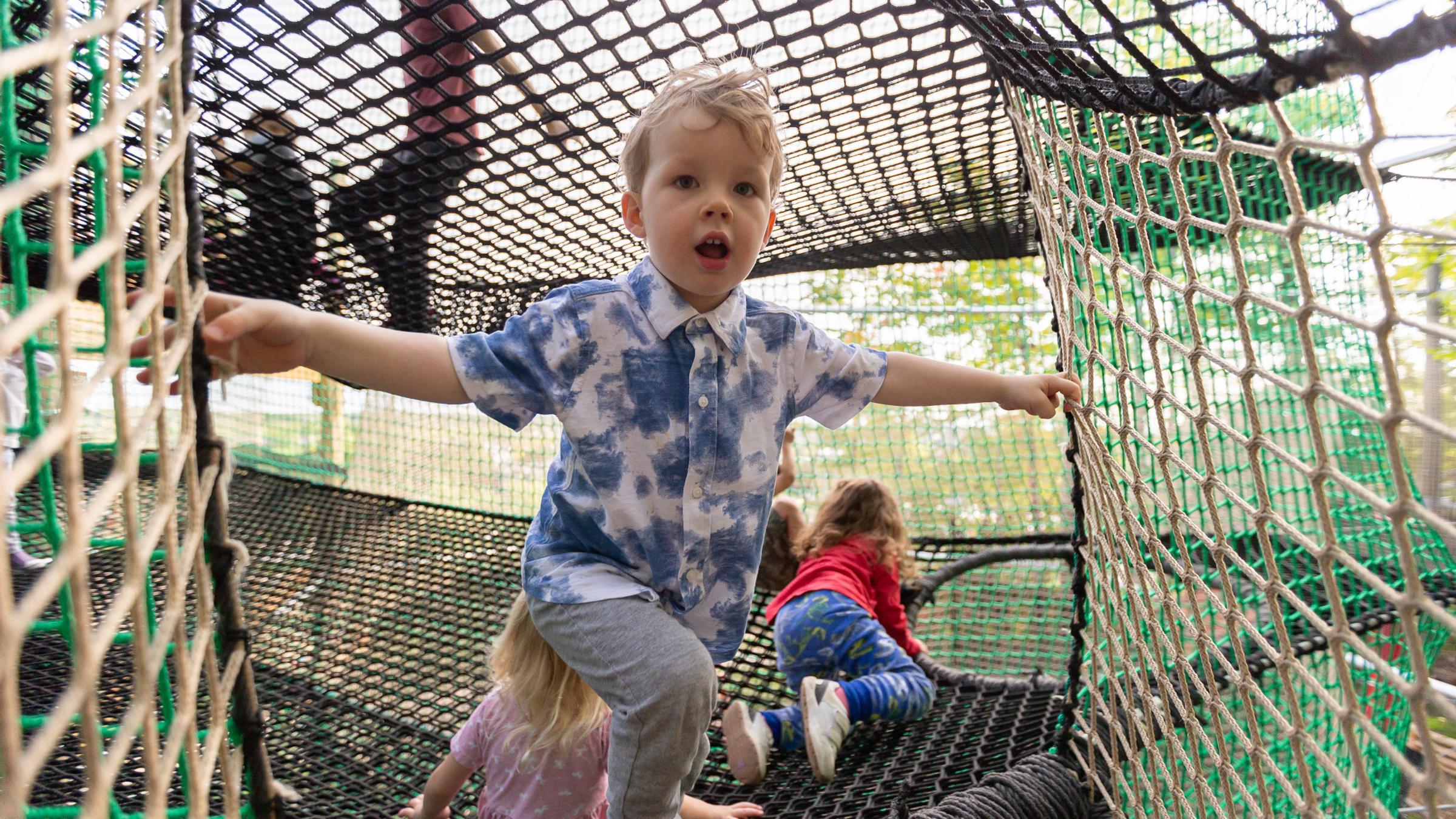 People playing on Canopy Climb Net Adventure