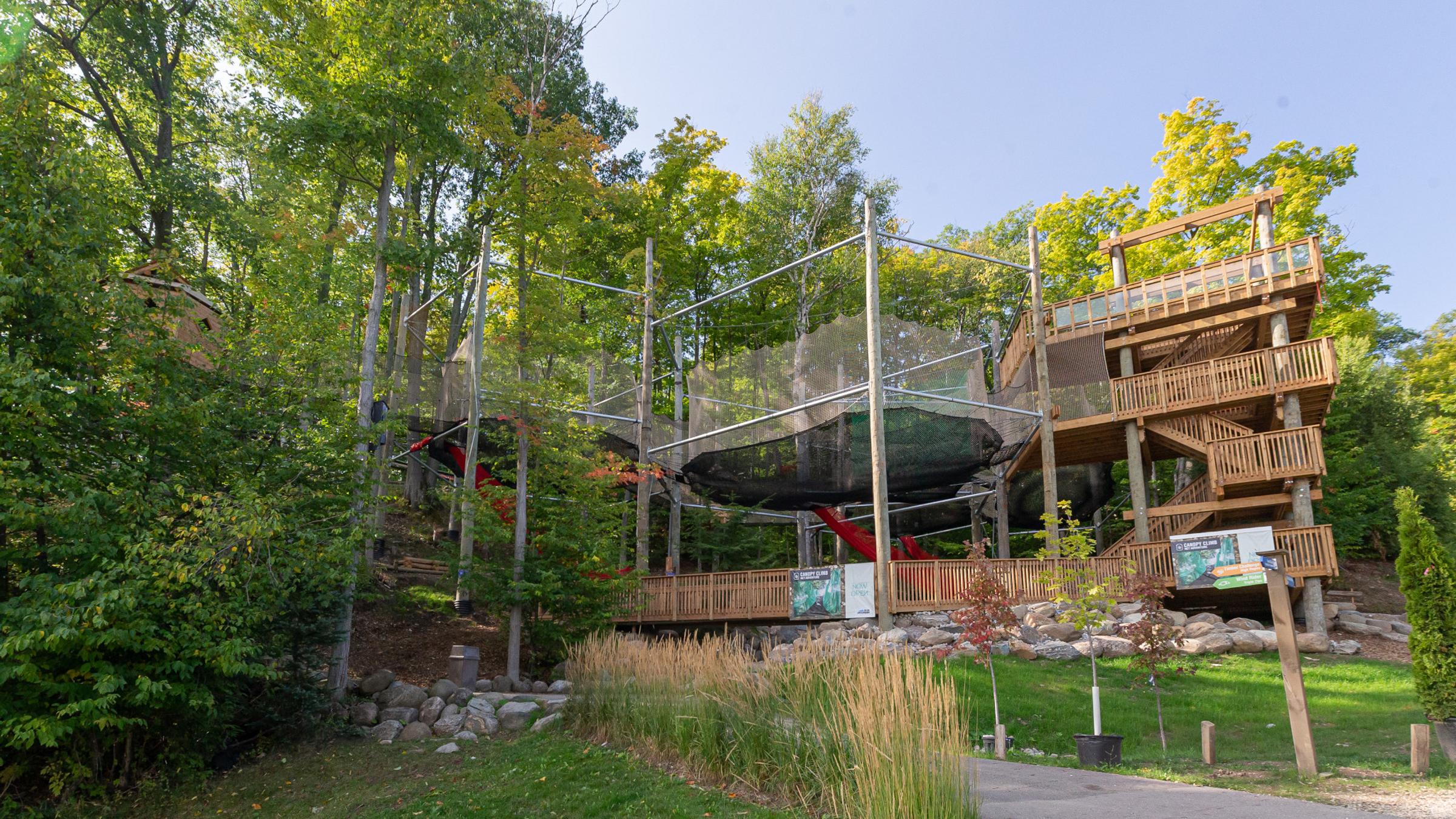 People playing on Canopy Climb Net Adventure