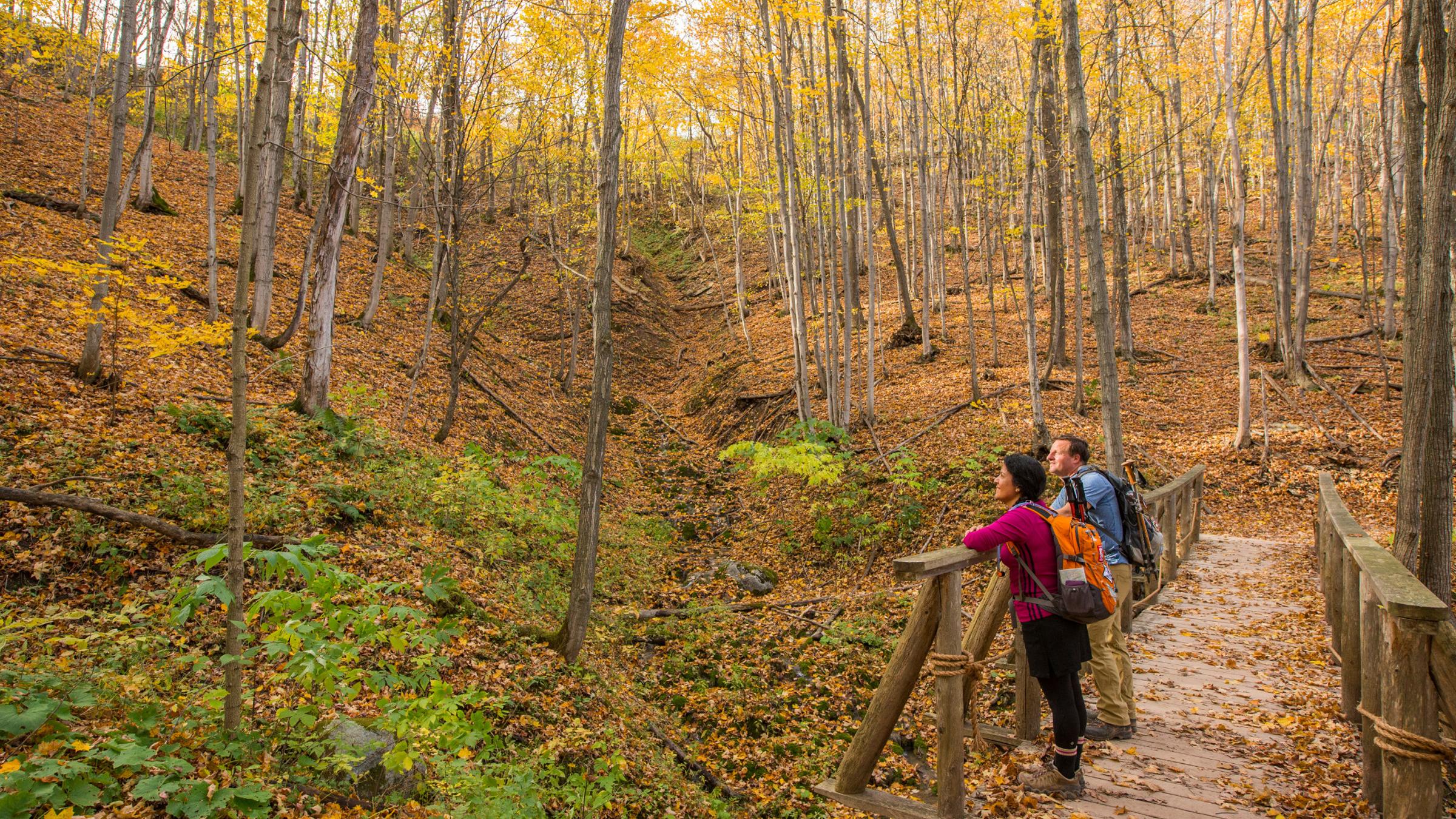 Fall People