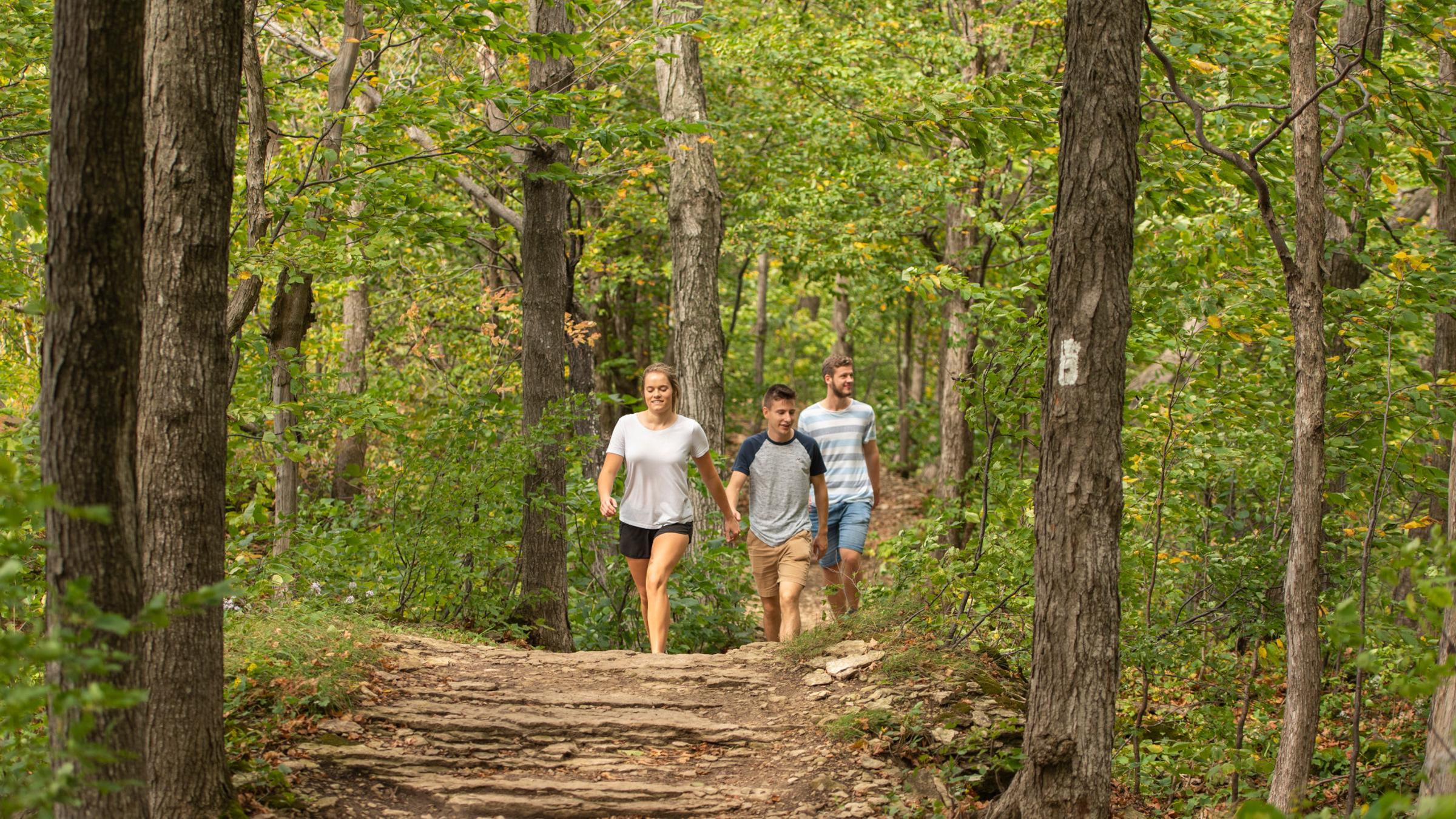 People hiking in summer