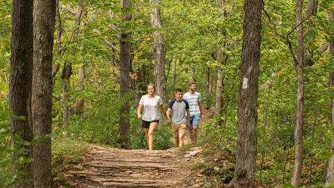 People hiking in summer