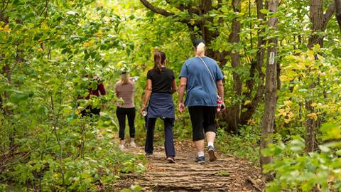 People hiking in summer