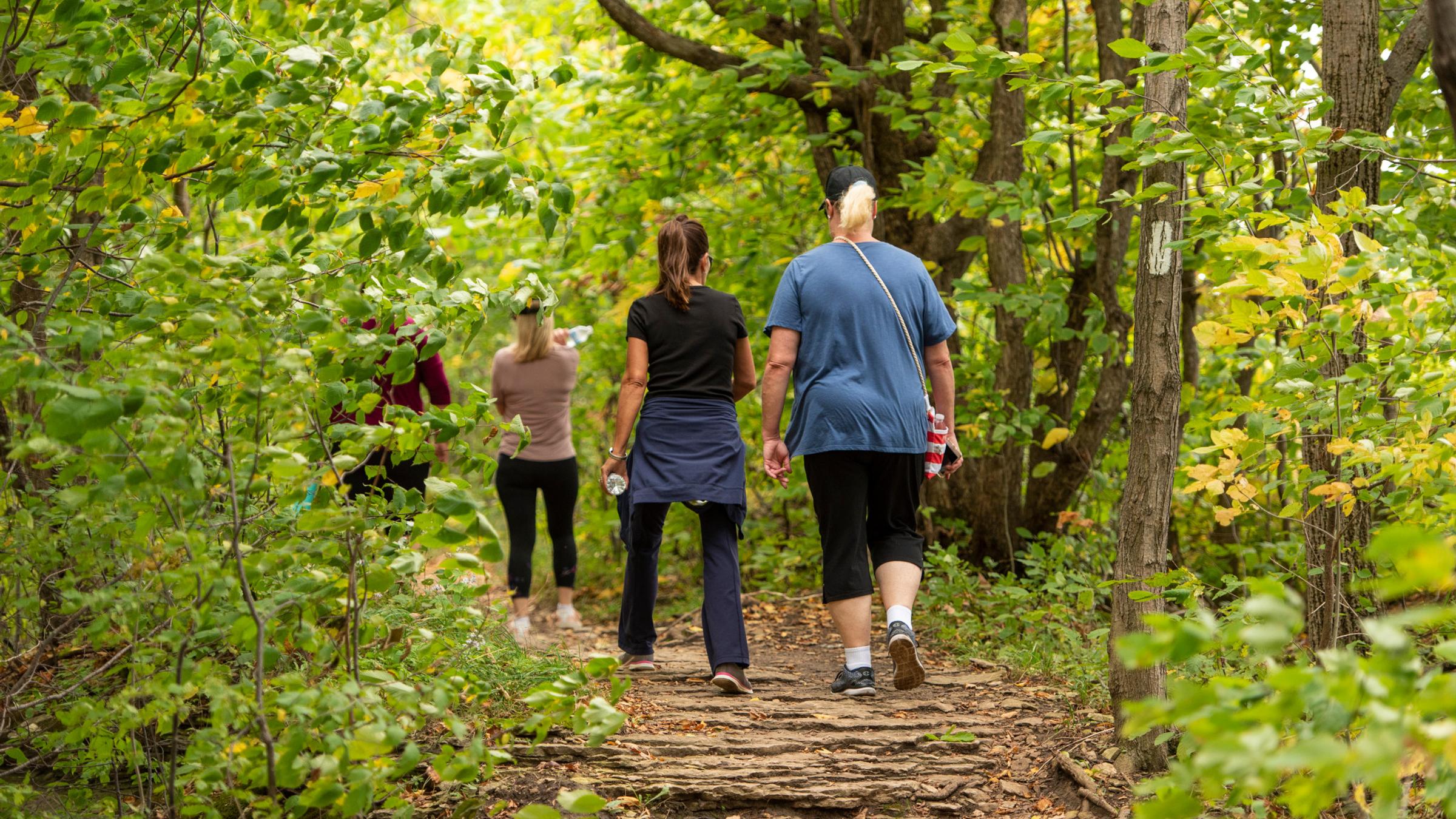 People hiking in summer