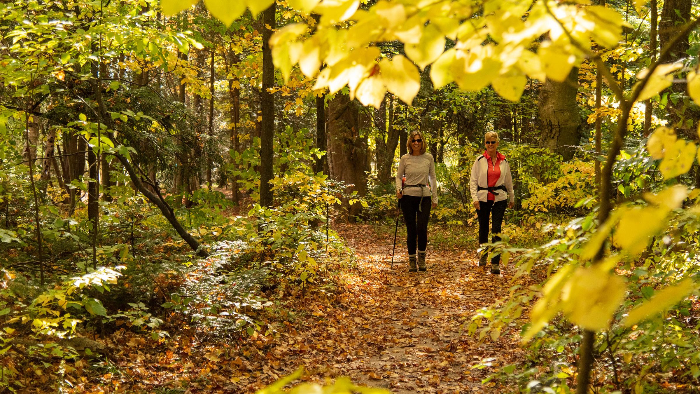 People Hiking in Fall