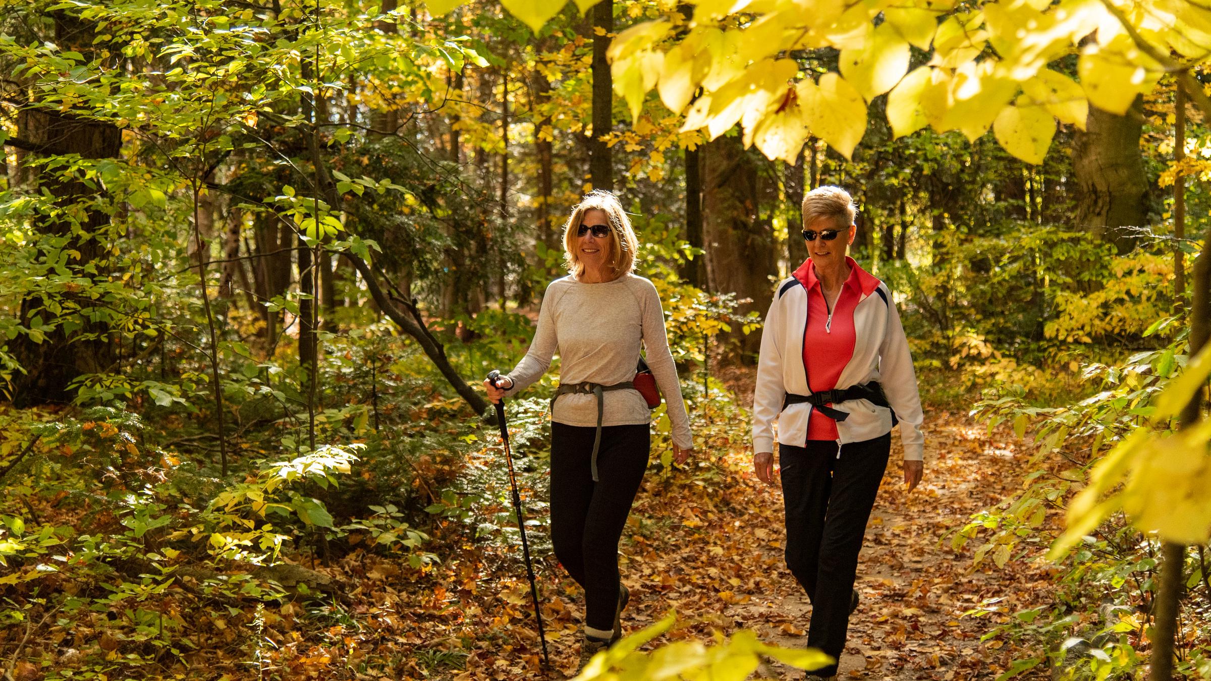People Hiking in Fall