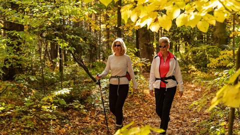 People Hiking in Fall