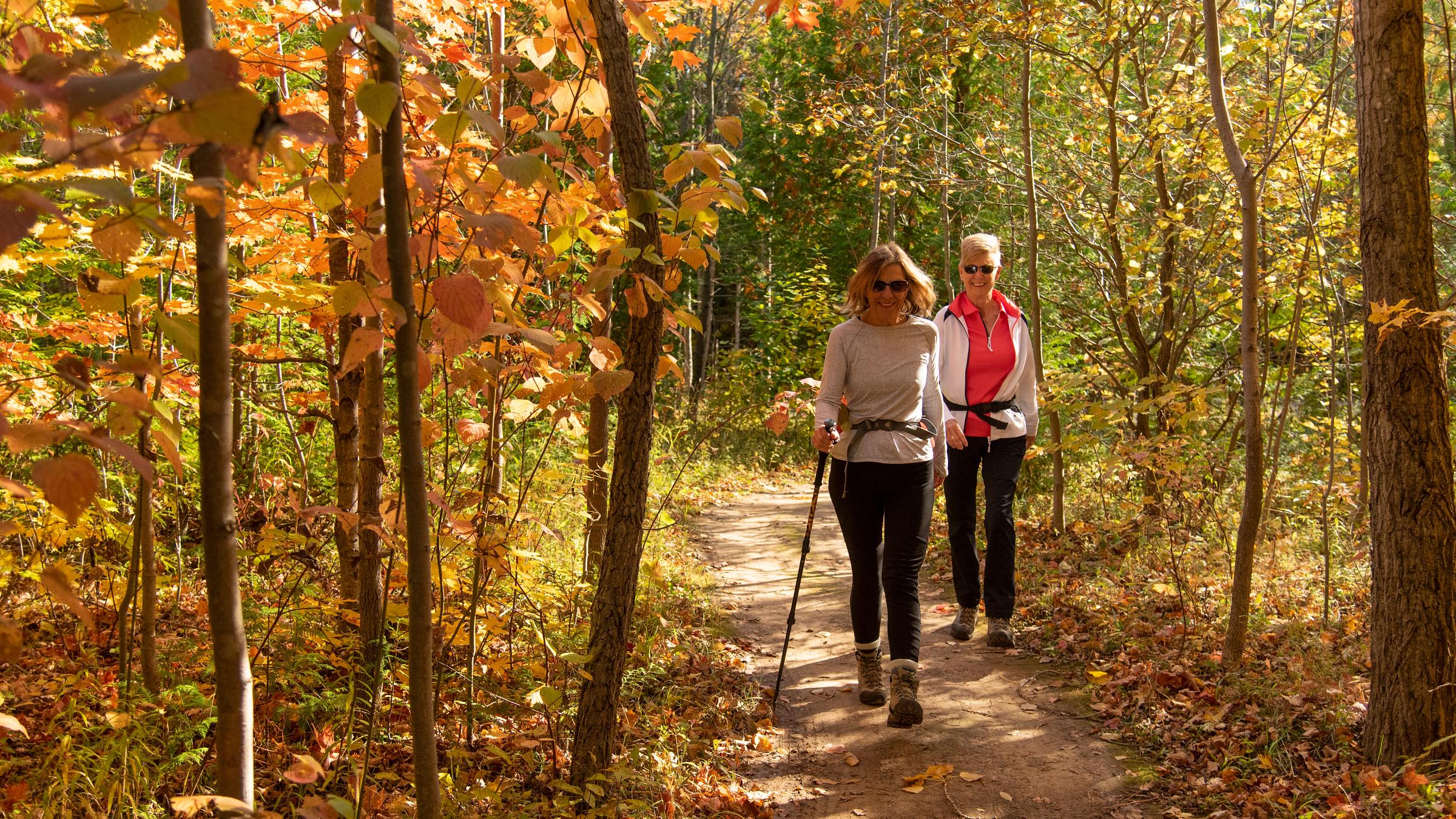 People Hiking in Fall