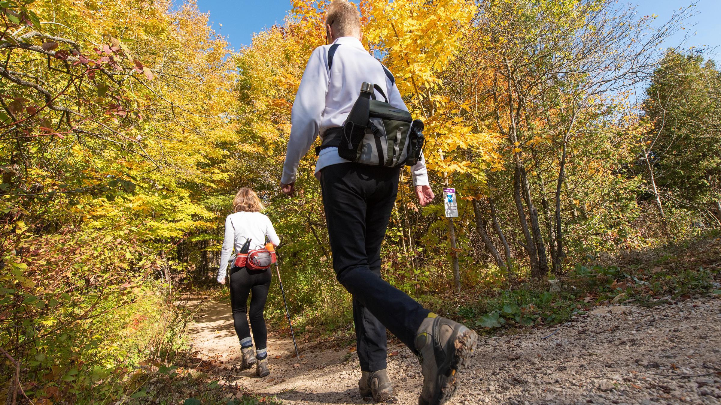 People Hiking in Fall