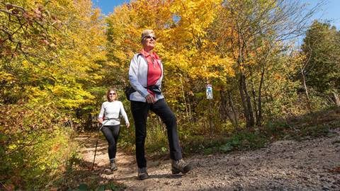 People Hiking in Fall