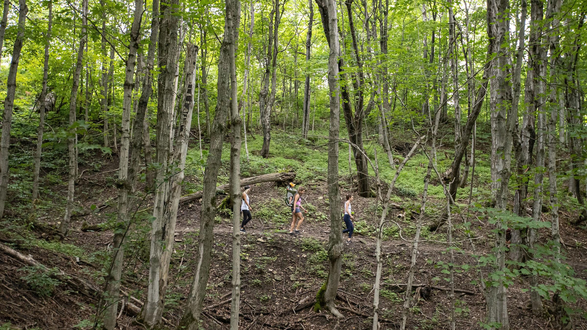 Hiking on Hill