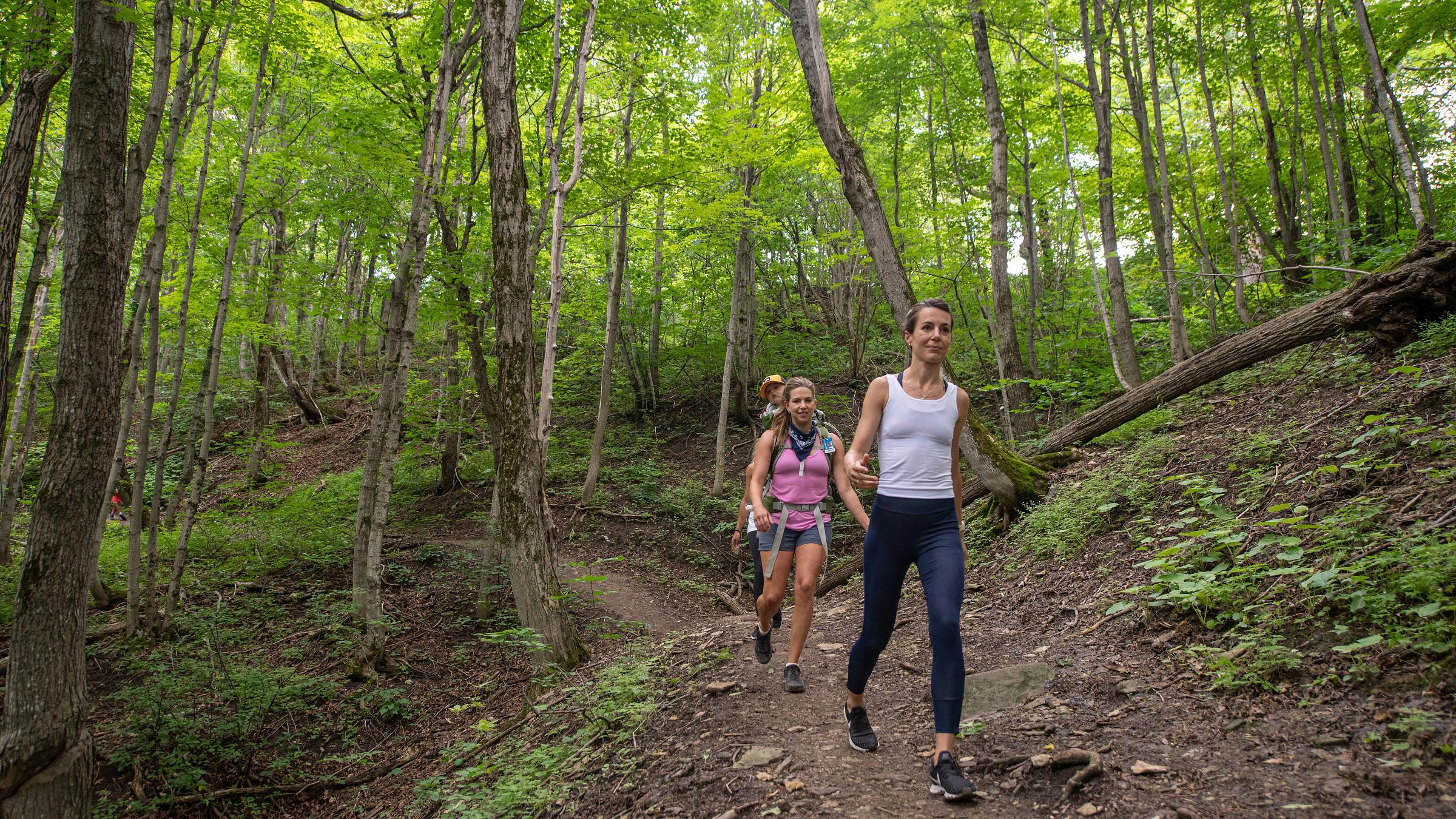 Hiking on Hill