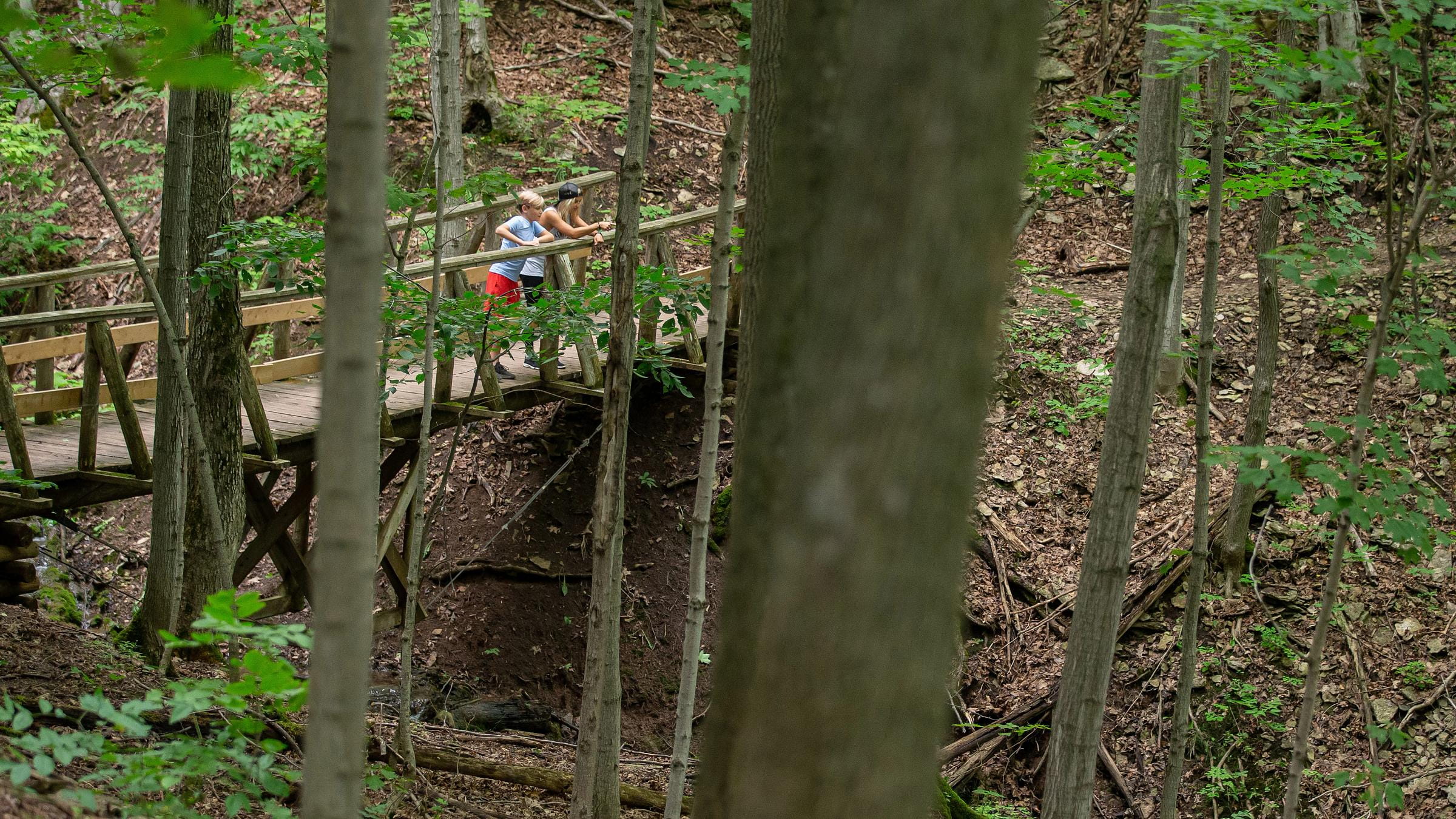 Hiking on Hill