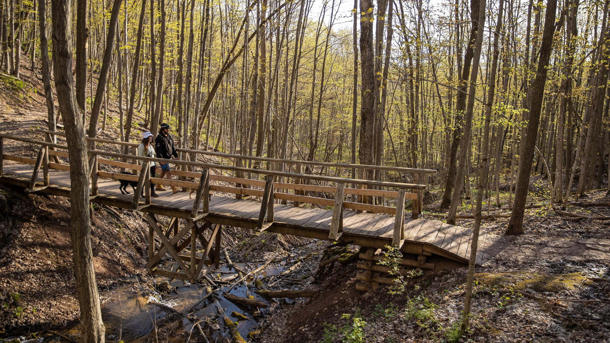 Spring Hiking