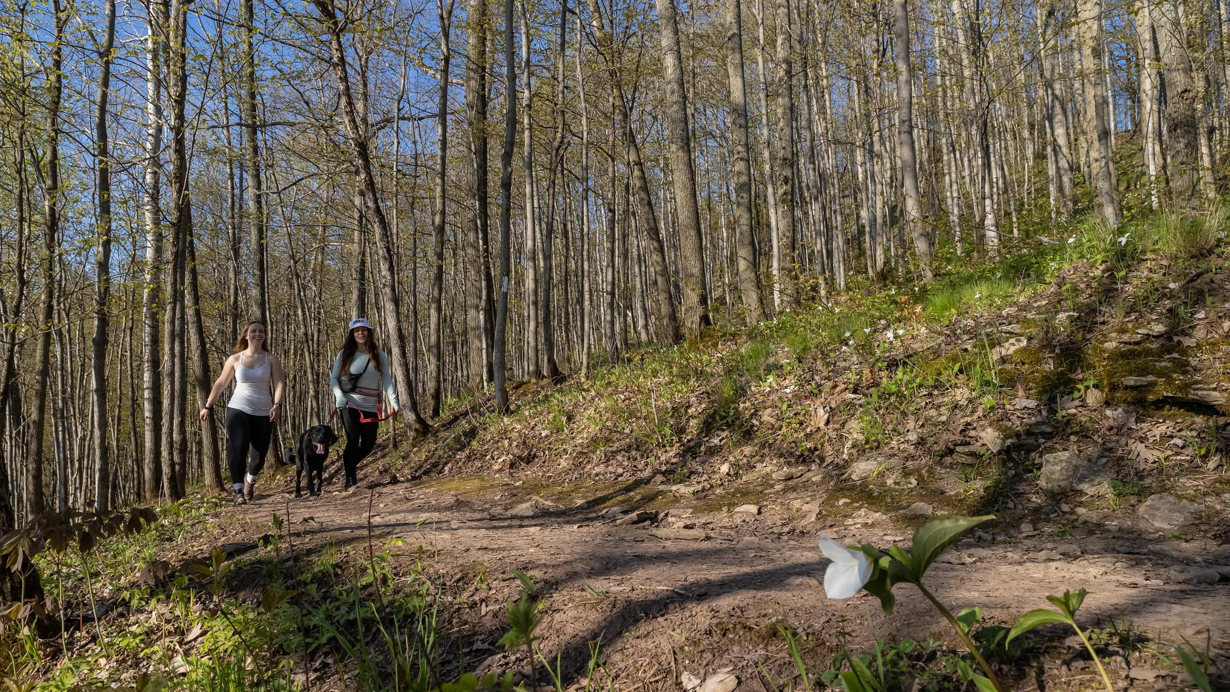 Spring Hiking