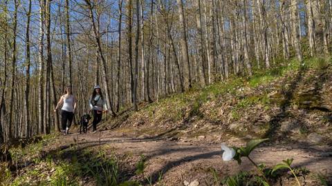 Spring Hiking