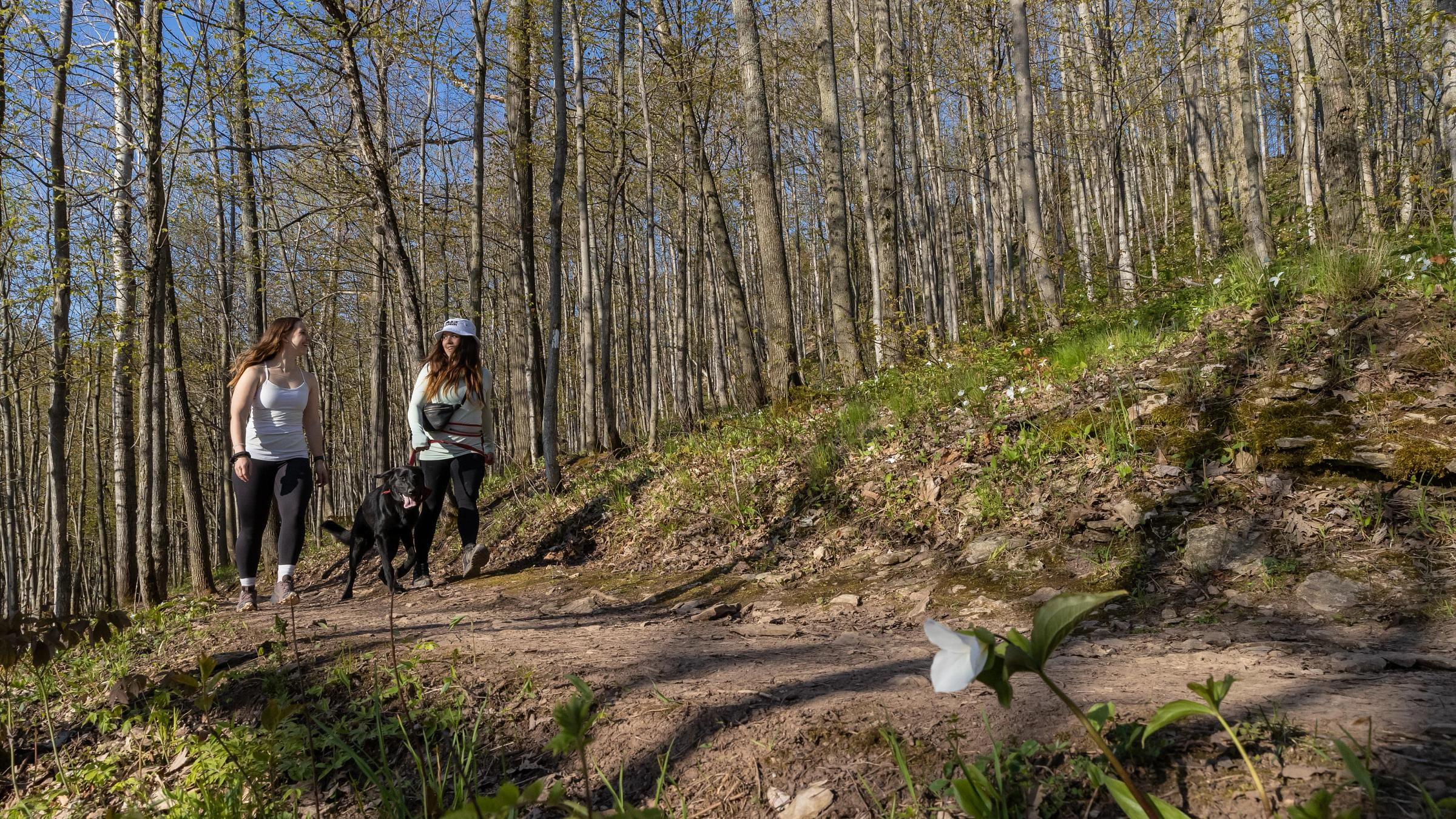 Spring Hiking