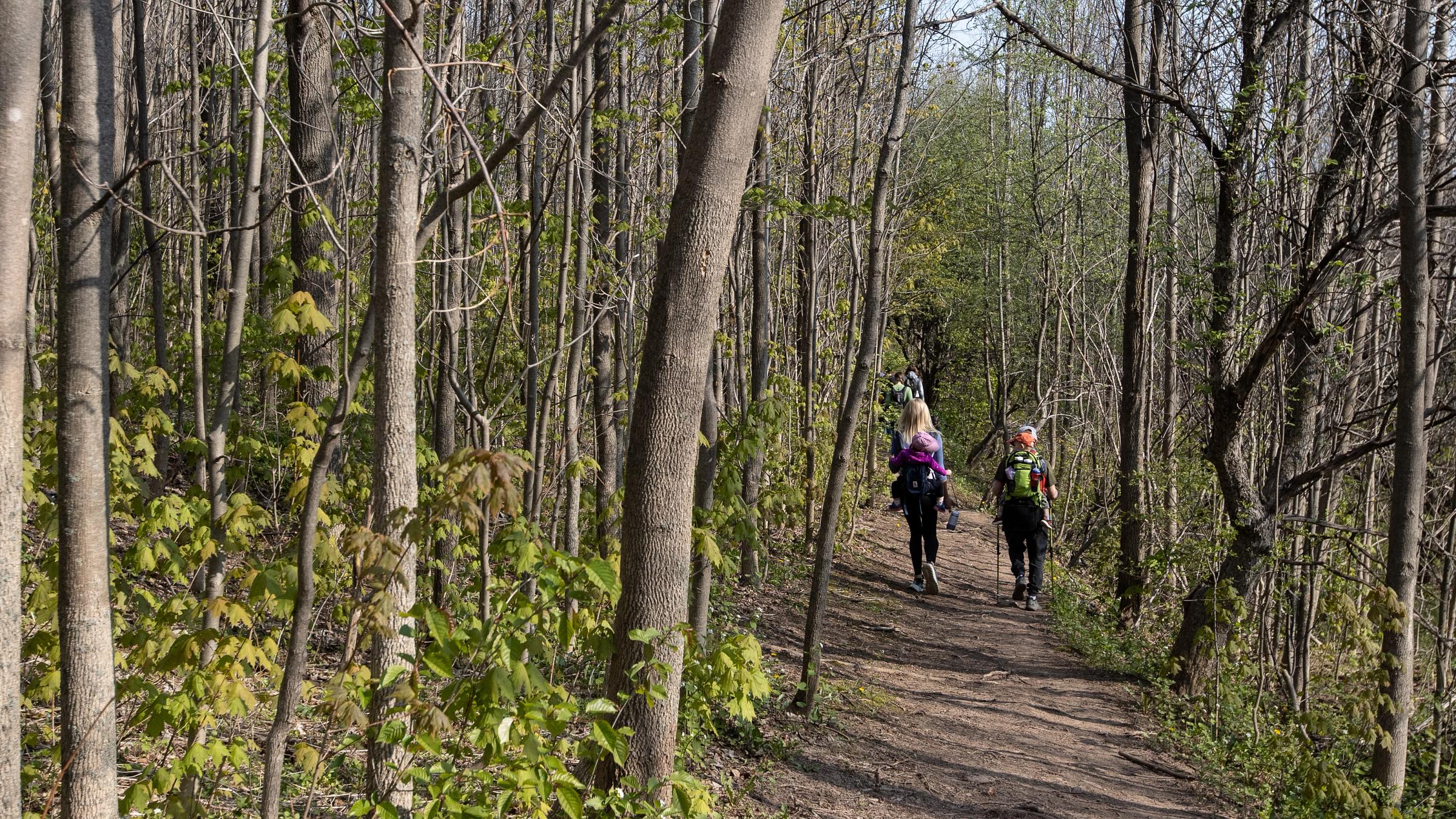 Spring Hiking