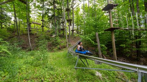 Ridge Runner Mountain Coaster