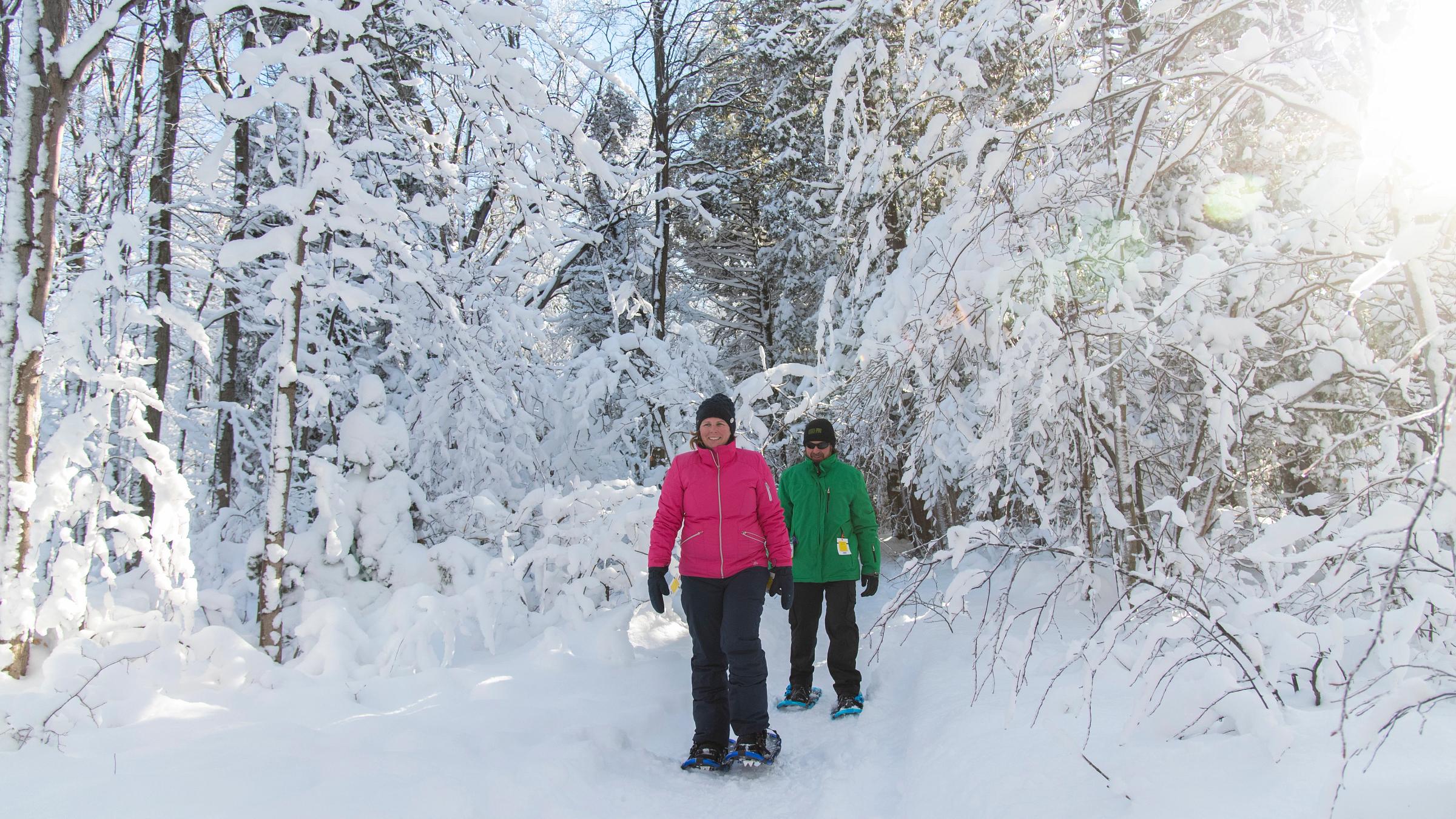Couple Snowshoeing