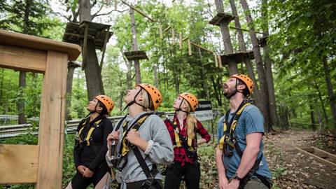 Timber Challenge High Ropes