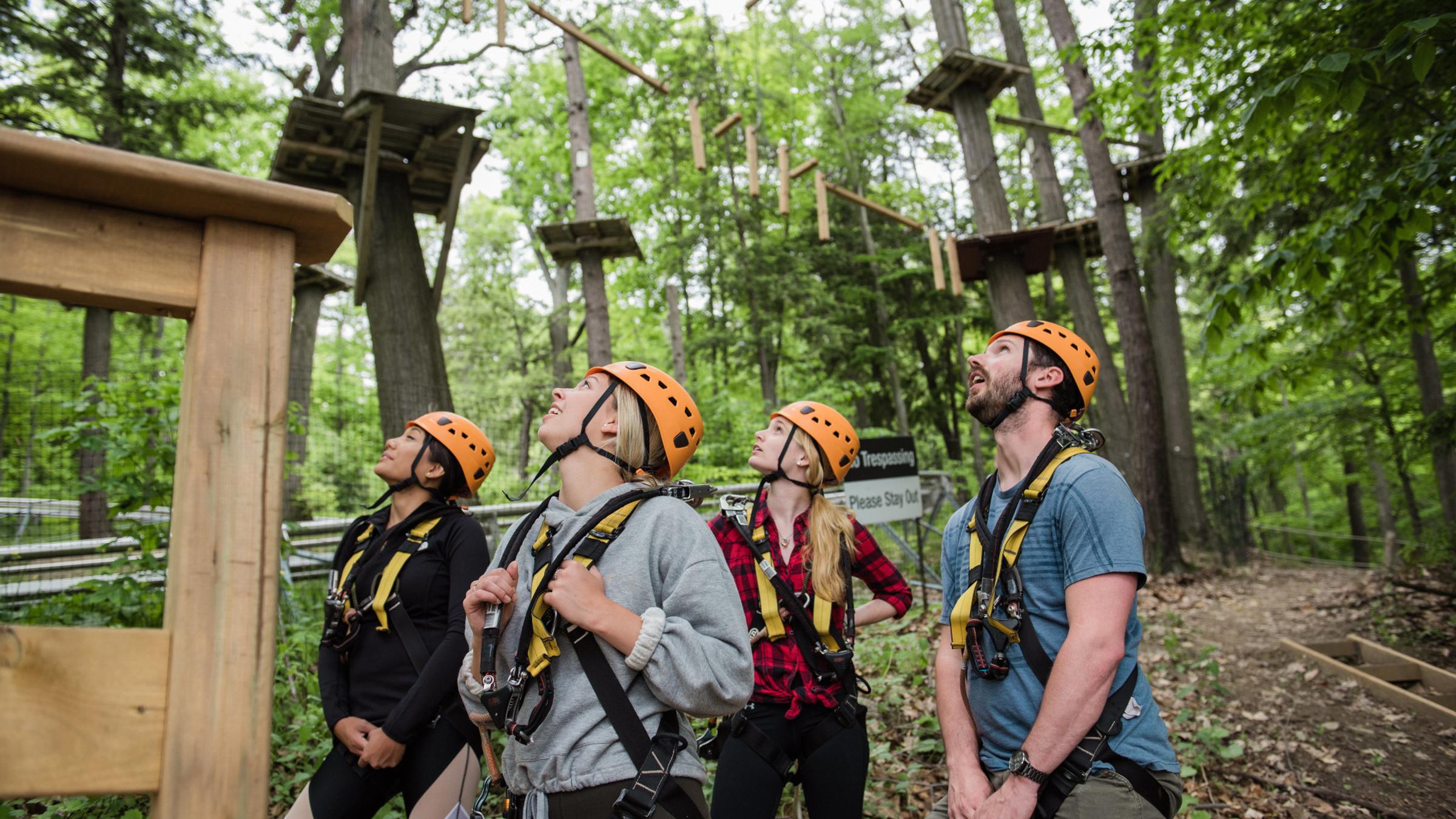 Timber Challenge High Ropes