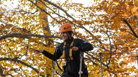 People on Timber Challenge High Ropes Course