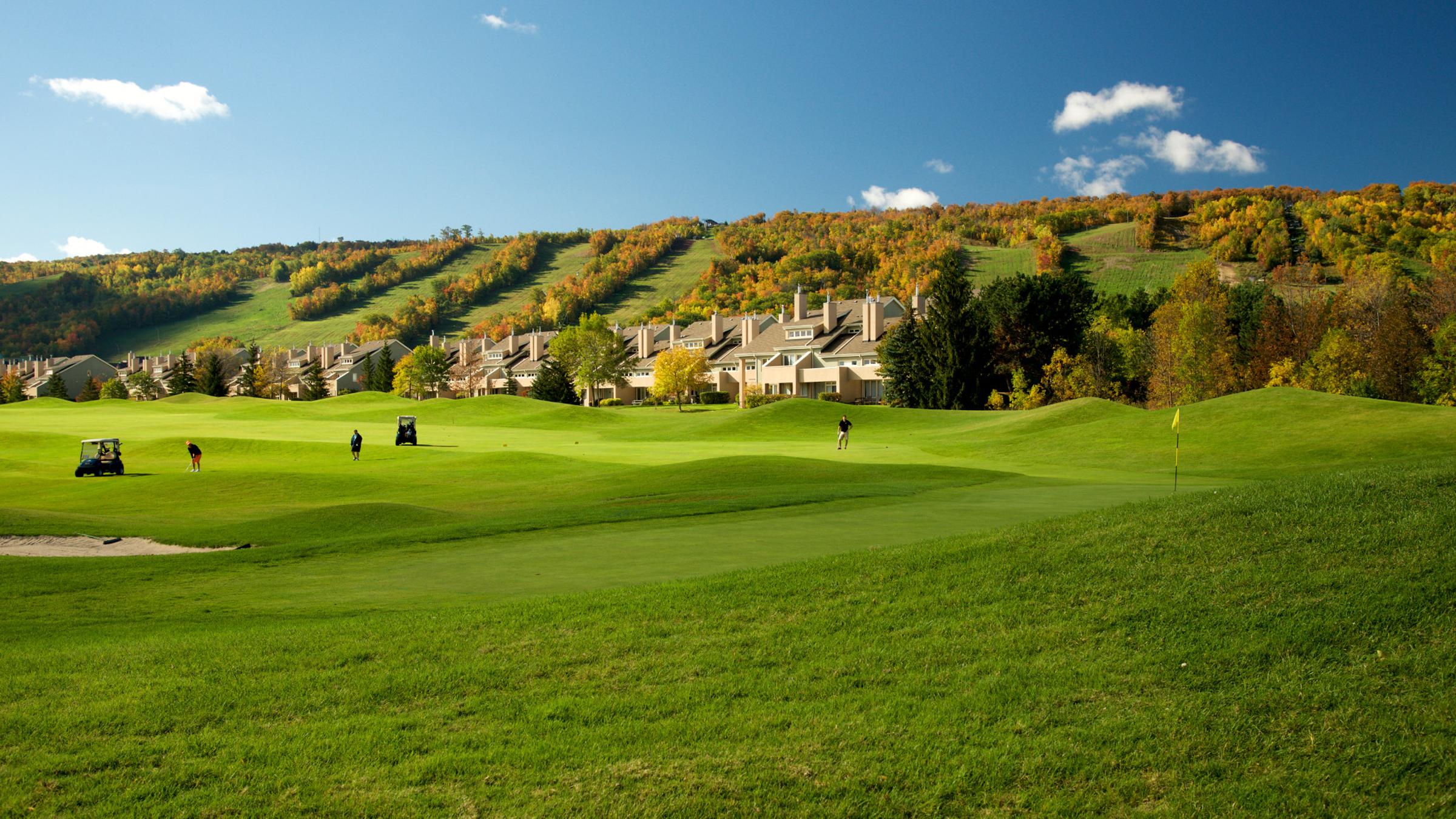 Lodging Wintergreen