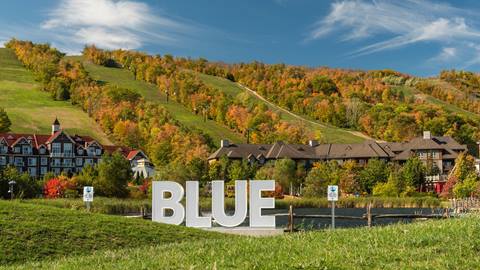 Fall Landscape