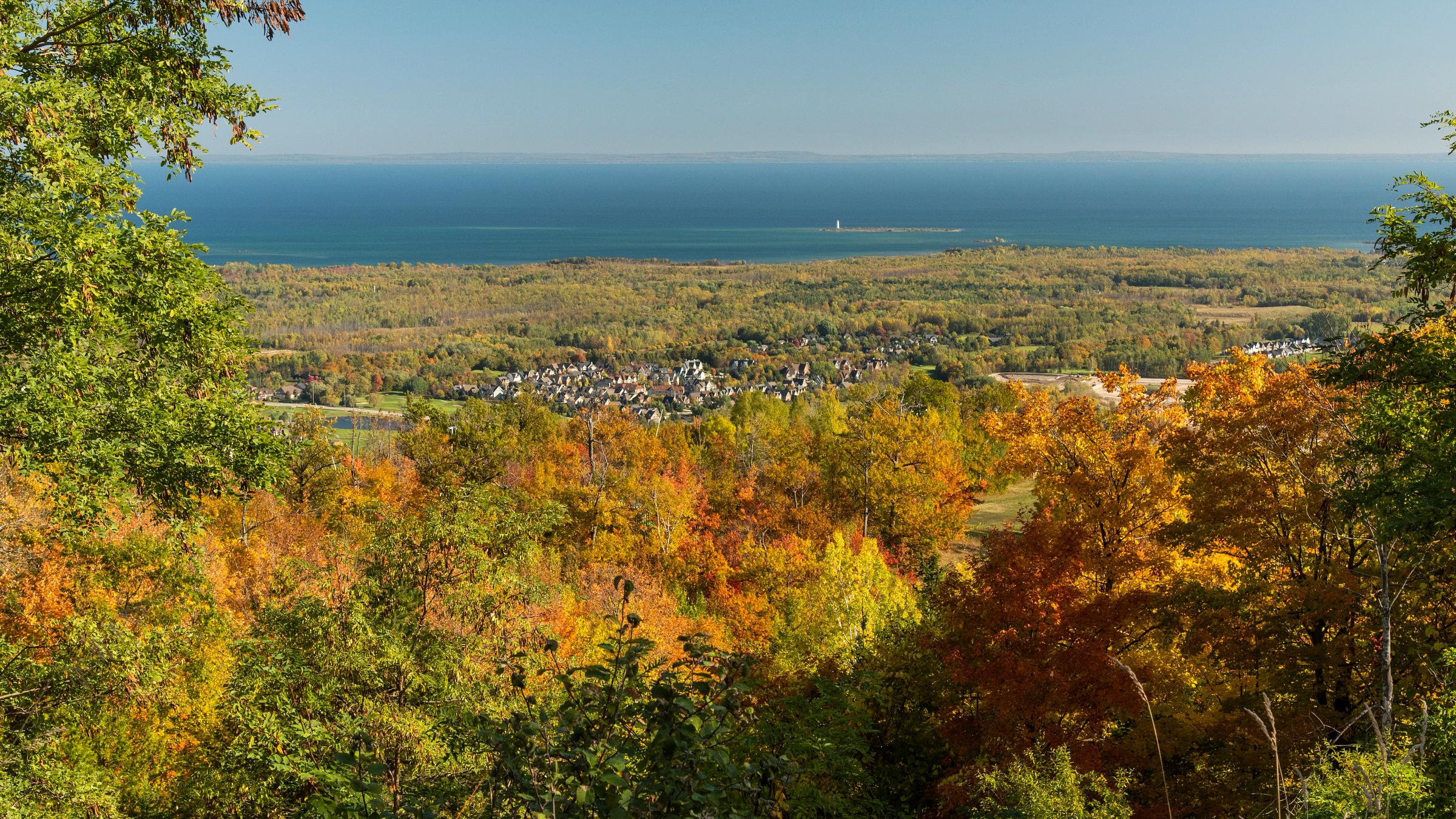 Fall Landscape