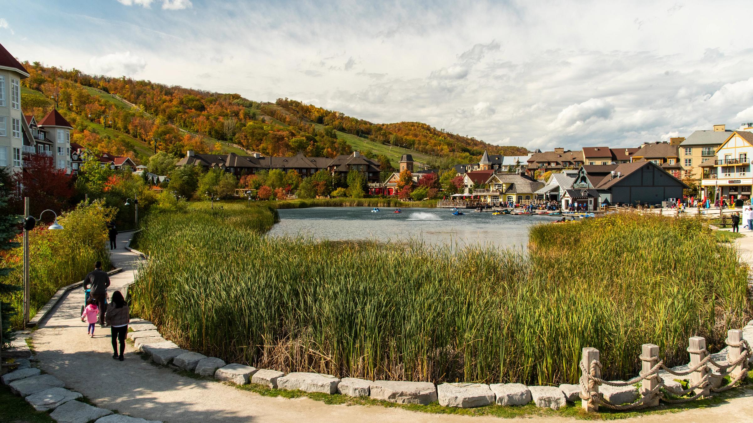 Fall Landscape