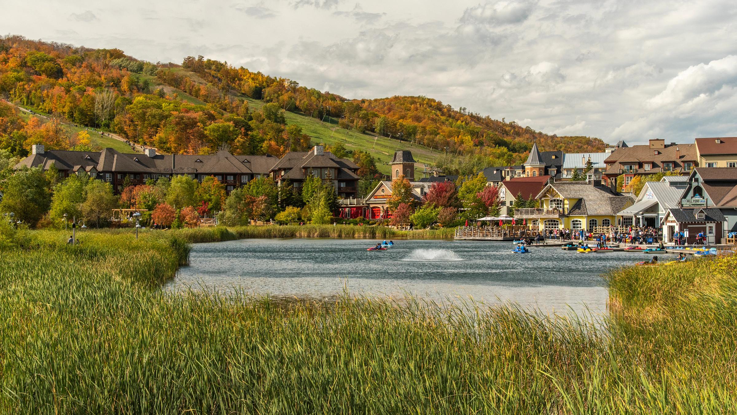 Fall Landscape