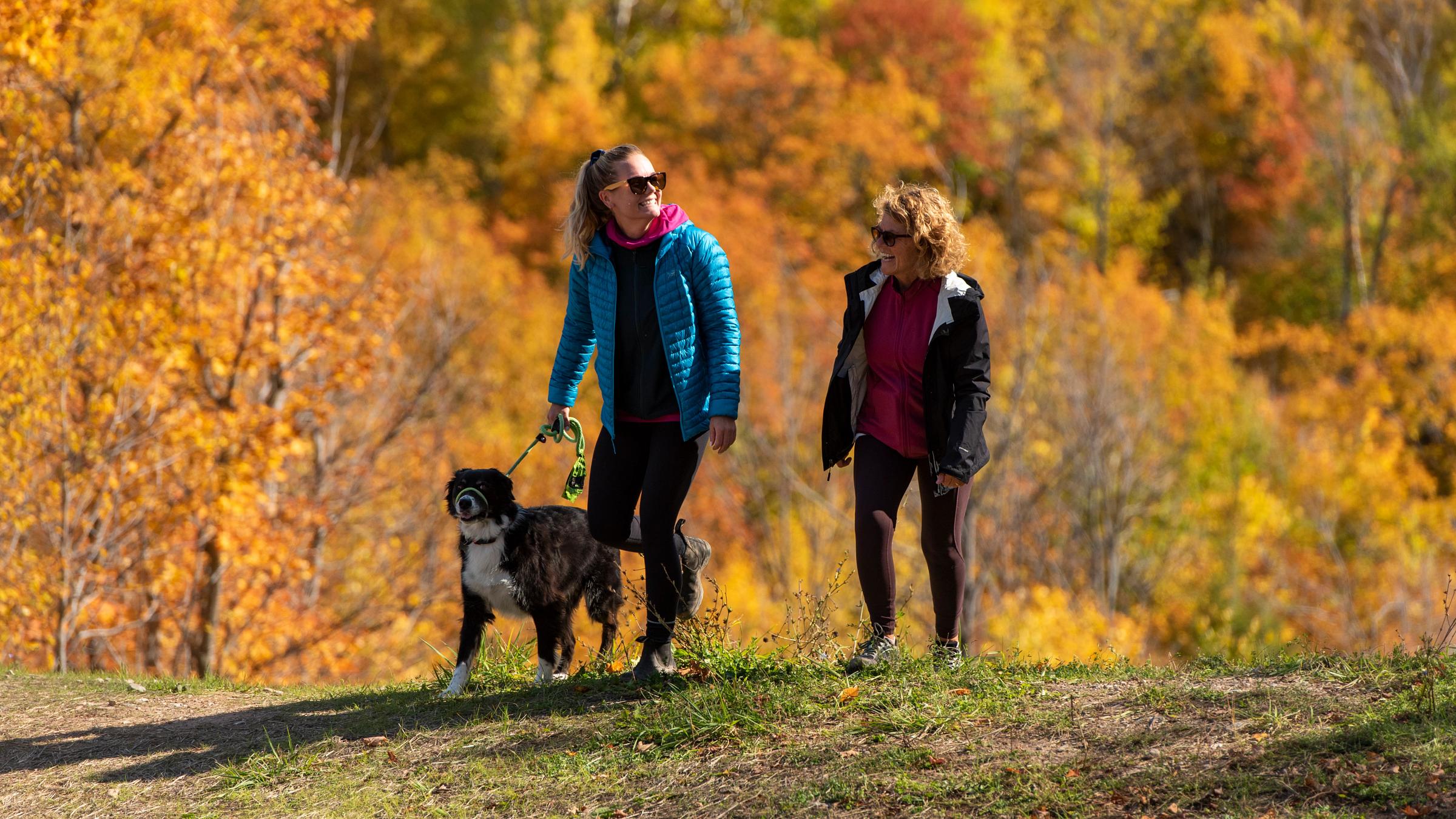 Fall People