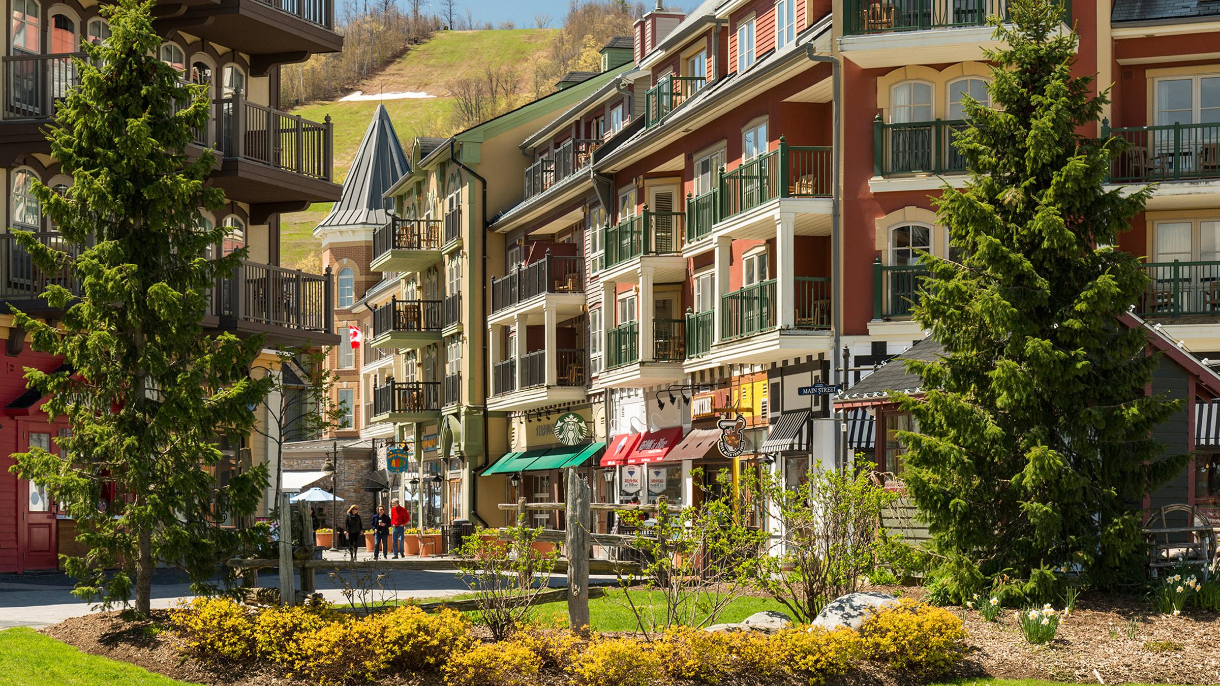 Spring Landscape