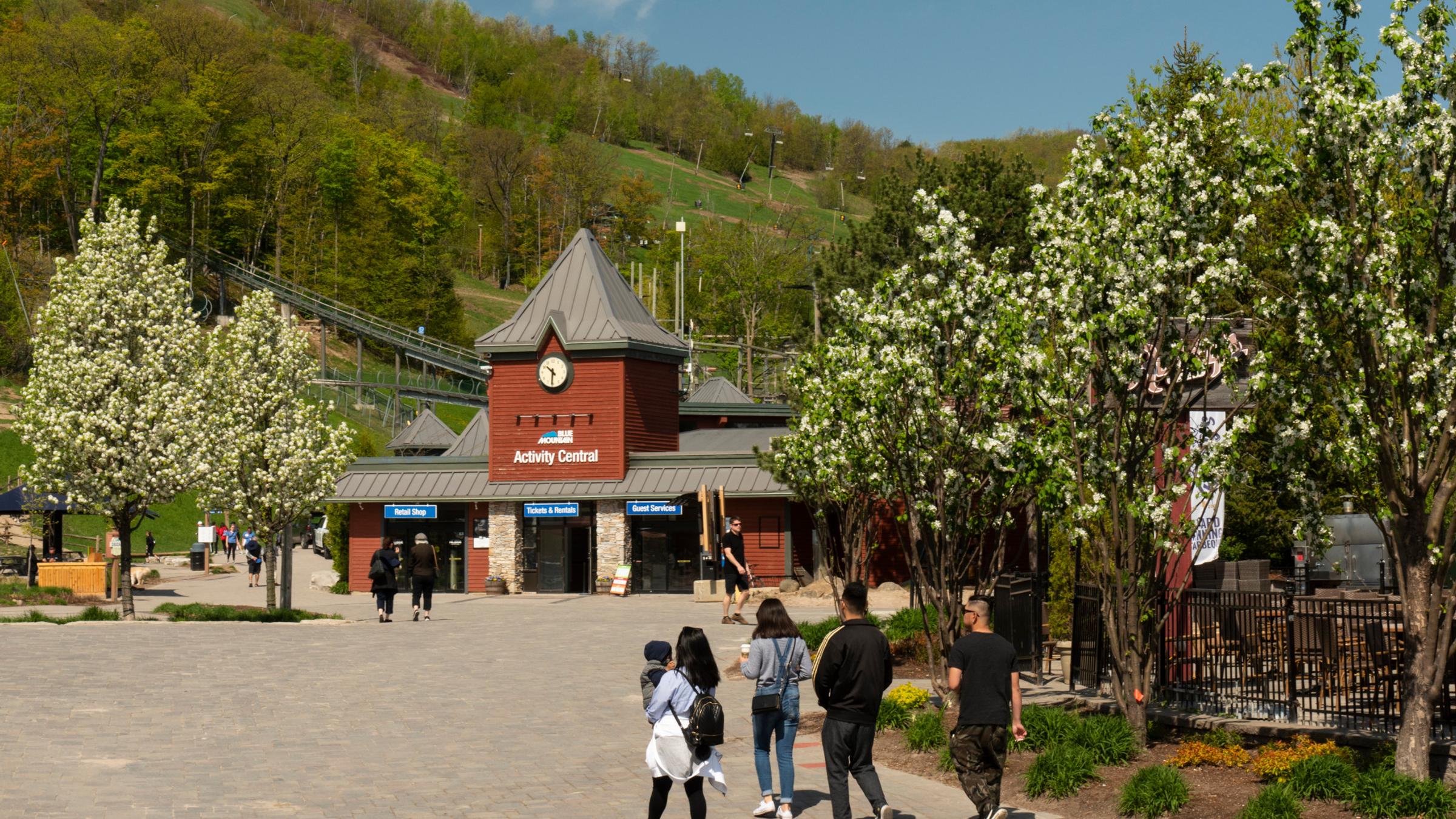 Spring resort landscape