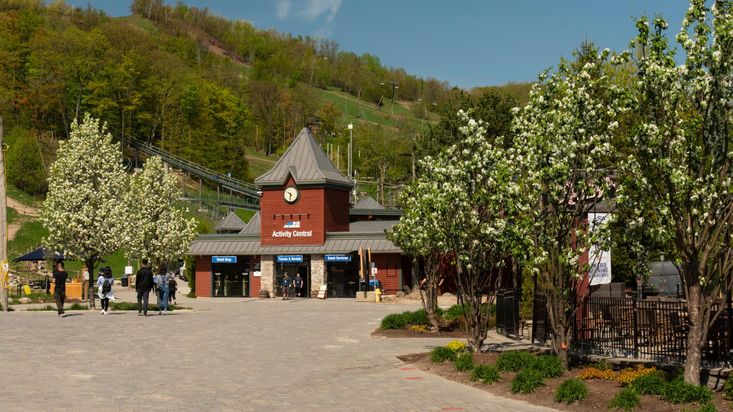 Spring resort landscape