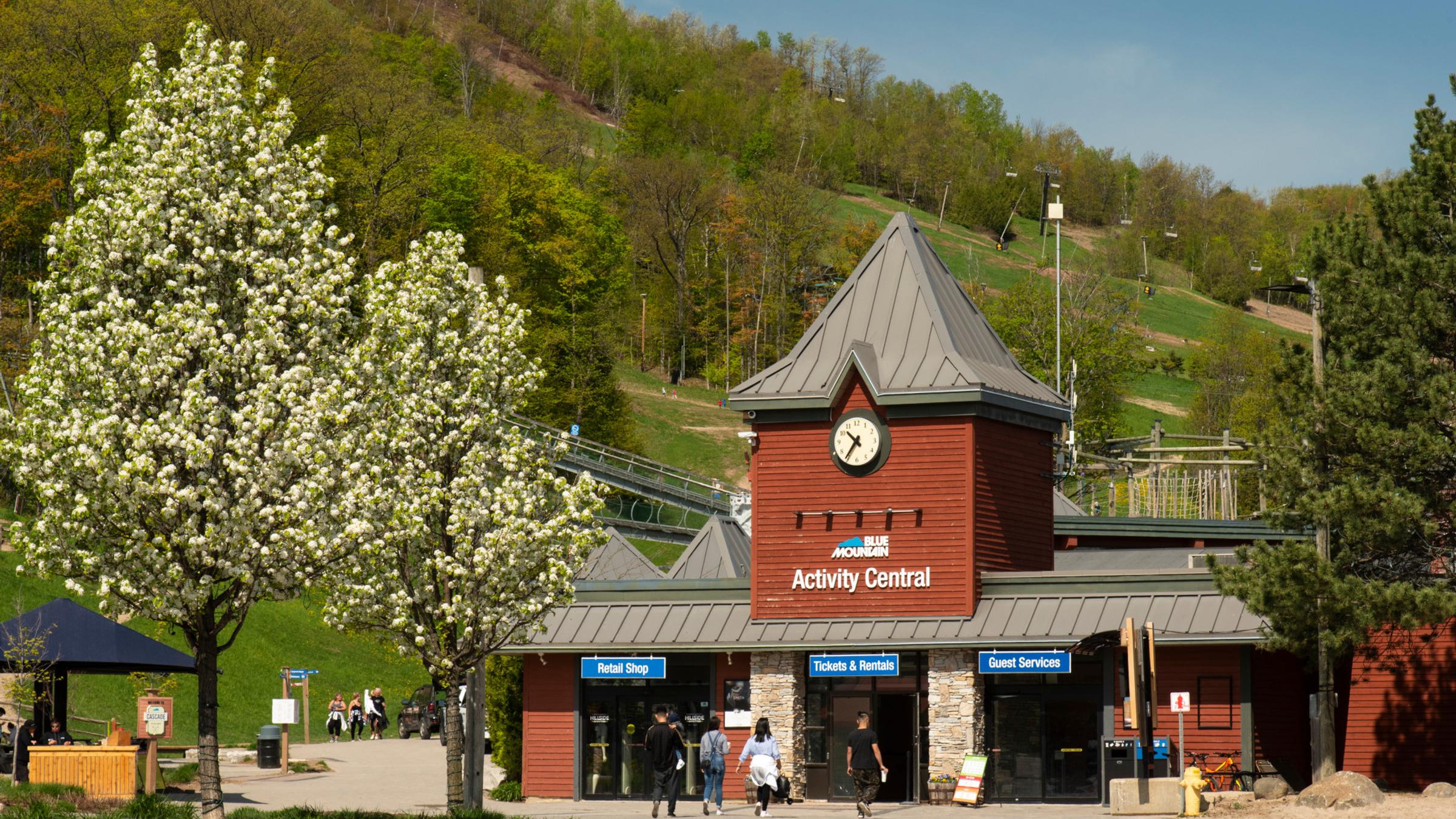 Spring resort landscape