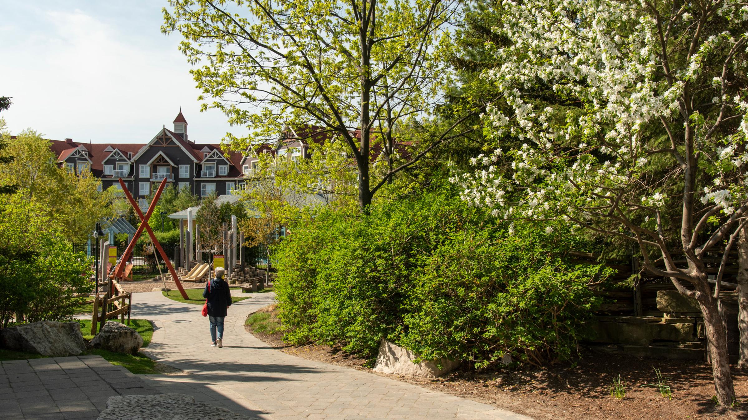 Spring resort landscape