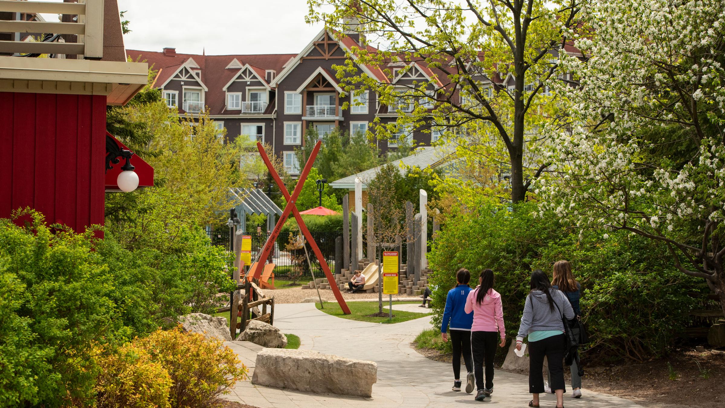 Spring lifestyle and landscape