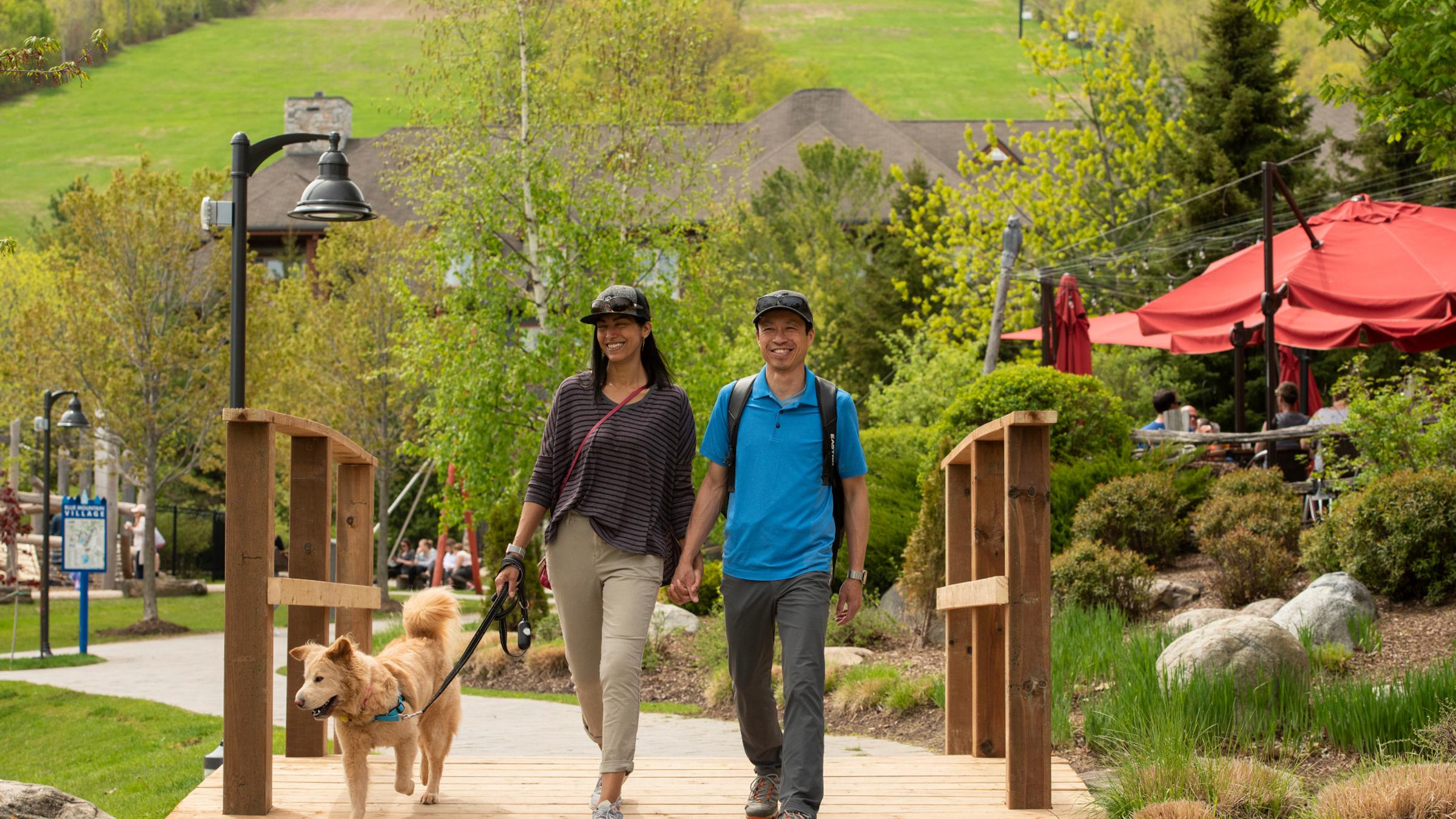 Couple walking dog in Village