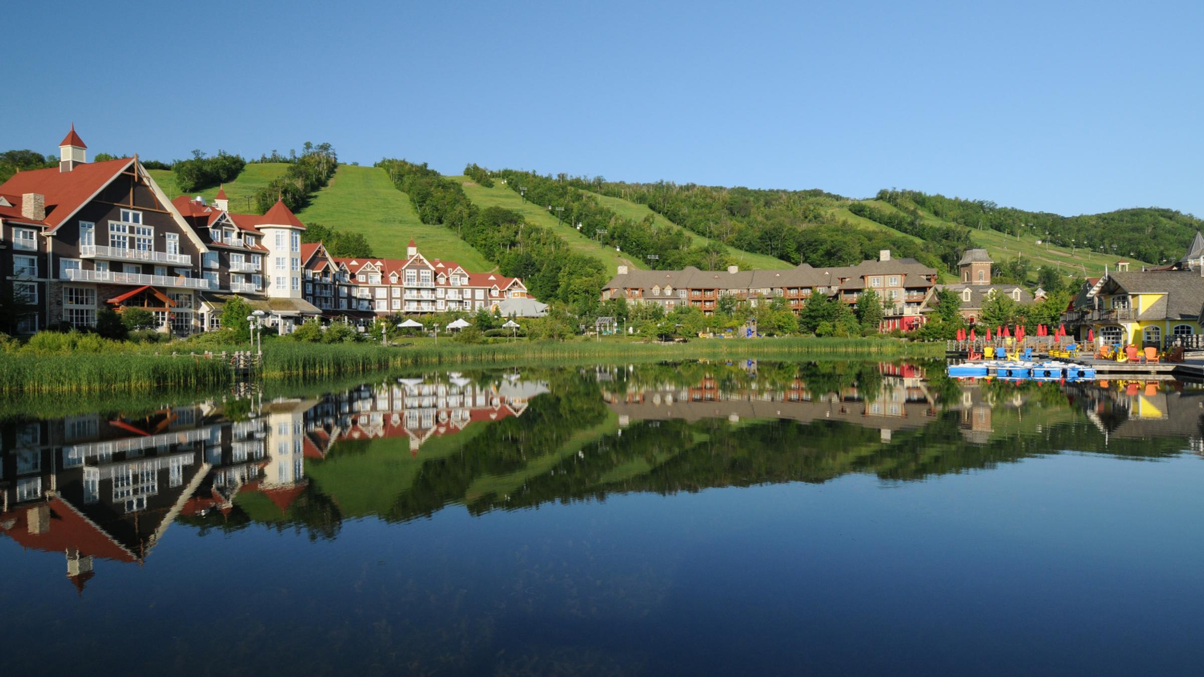 Summer Landscape