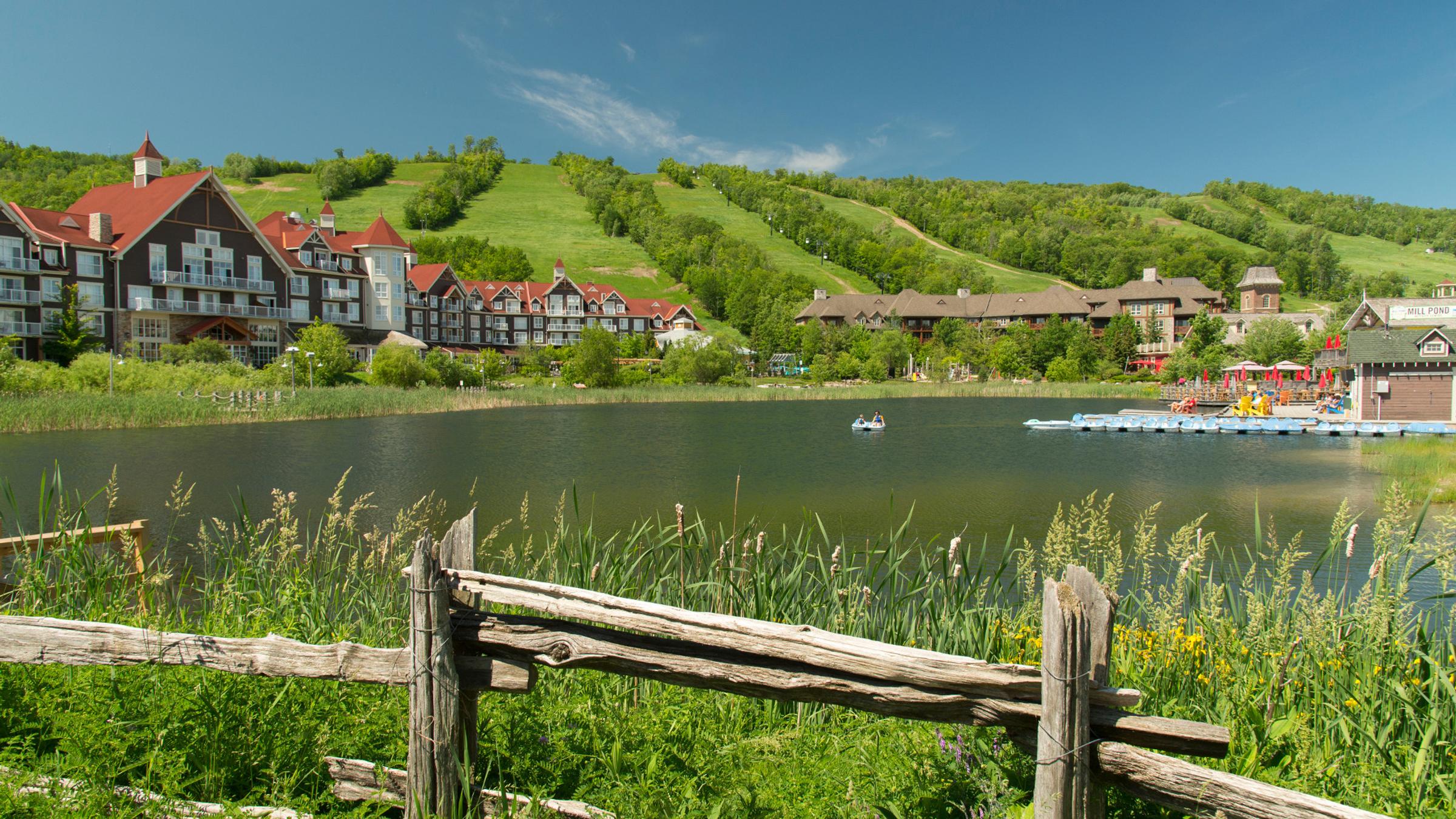 Summer Landscape