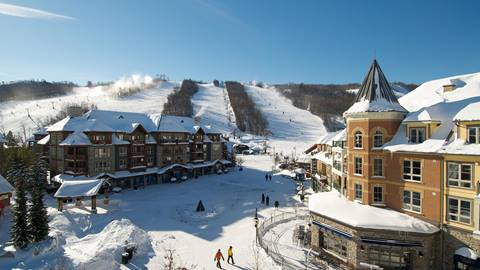 Winter Landscape