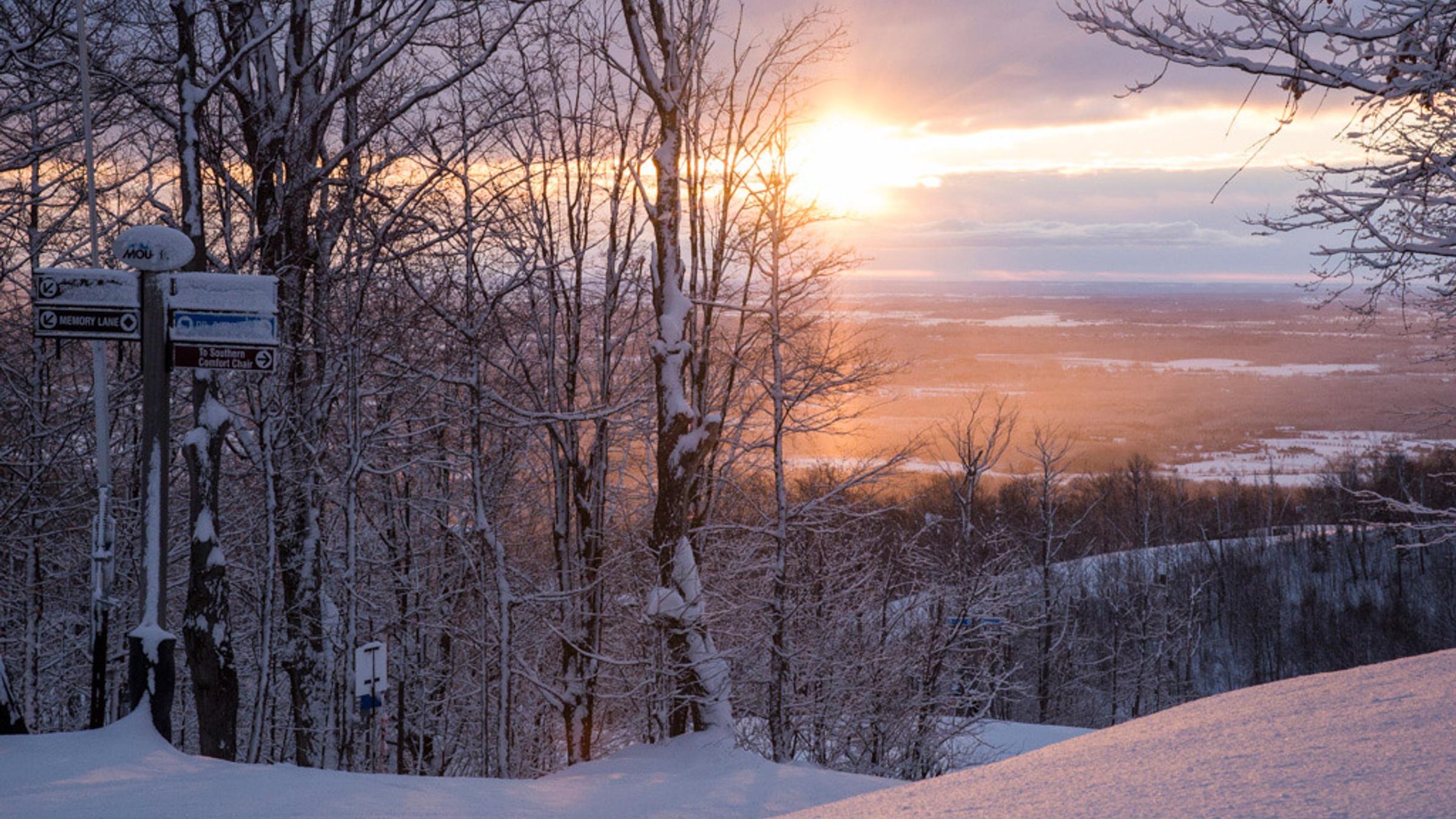 Winter Landscape